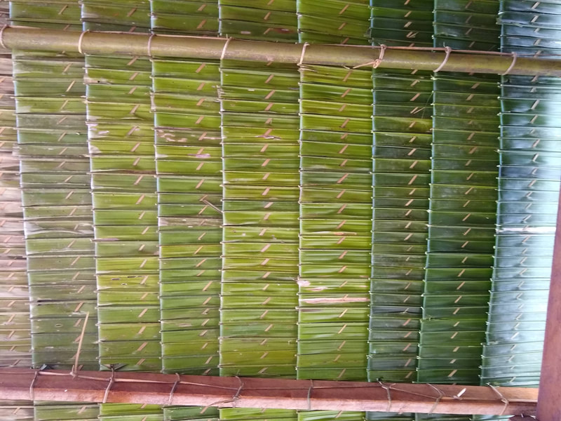 Overlapping raffia palm roof shingles